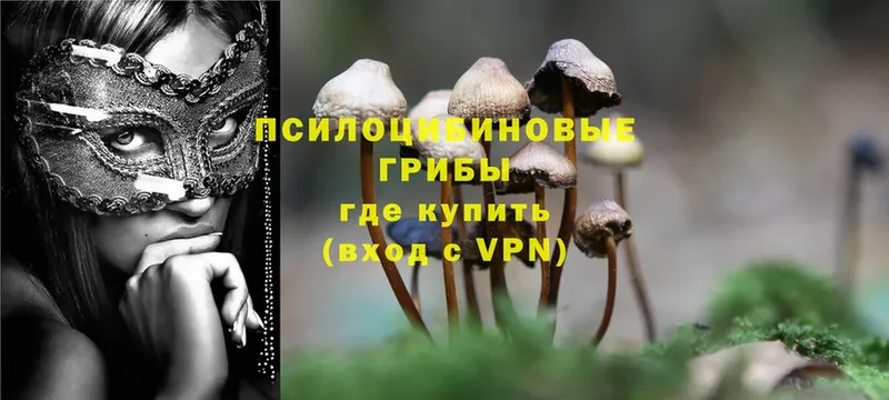 omg ТОР  Иланский  Галлюциногенные грибы Magic Shrooms 